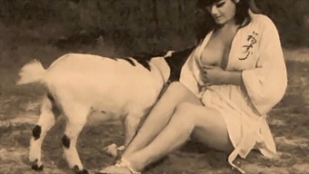 Retro Taboo Encounter With A Doggy And A Pussy In The Same Frame
